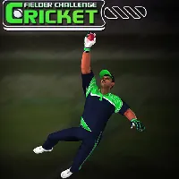 Cricket Fielder Challenge Game - Unblocked Games 88 - UBG88