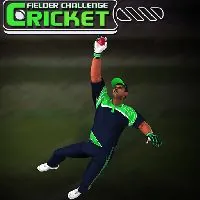Cricket Fielder Challenge Game - Unblocked Games 88 - UBG88